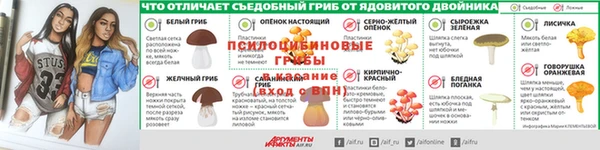 метадон Богородск