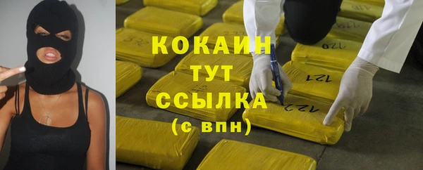 эйфоретик Богданович