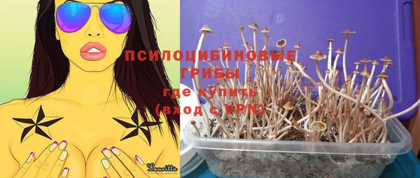 эйфоретик Богданович