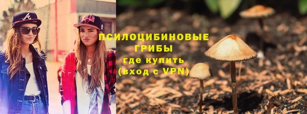 альфа пвп Богородицк